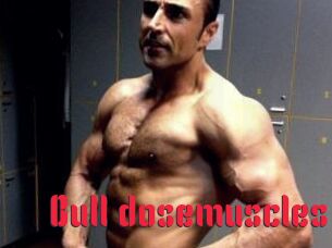 Bull_dosemuscles