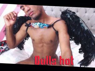 Bulls_hot