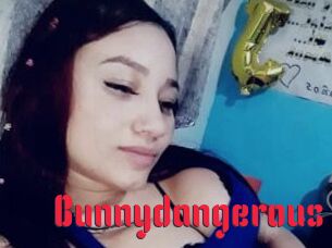 Bunnydangerous