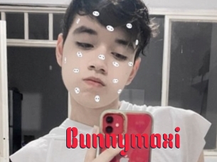 Bunnymaxi