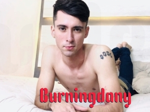 Burningdany