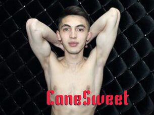 CaneSweet