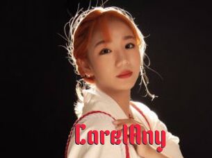 CarelAny Video Extrait