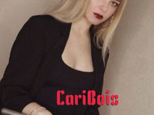 CariBois