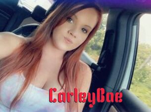 CarleyBae