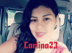 Carlina23