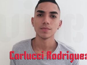 Carlucci_Rodriguez Video Extrait