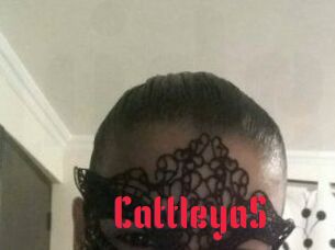Cattleya_S
