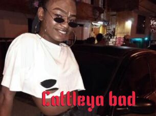 Cattleya_bad