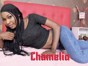 Chamelia