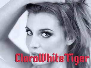 ClaraWhiteTiger