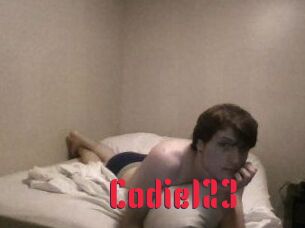Codie123