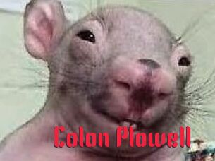 Colon_Plowell