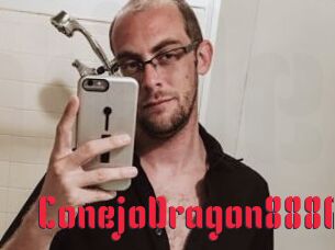 ConejoDragon8886