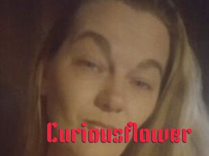 Curiousflower