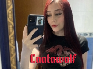 caatawolf Video Extrait