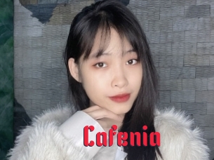 cafenia Video Extrait