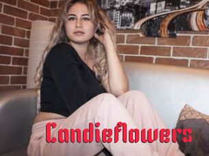 candieflowers Video Extrait