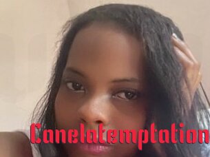 Canelatemptation