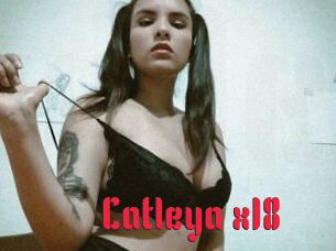 Catleya_x18