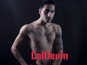 Coltlevin