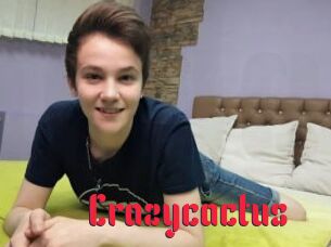 Crazycactus