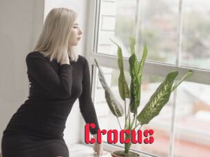 Crocus