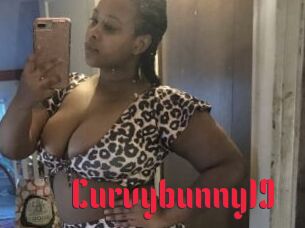 Curvybunny19