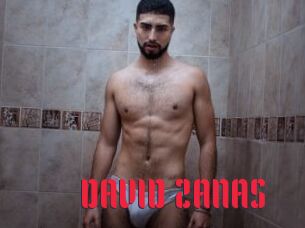 DAVID_ZANAS