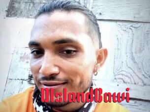 DIslandBawi
