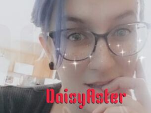 DaisyAster