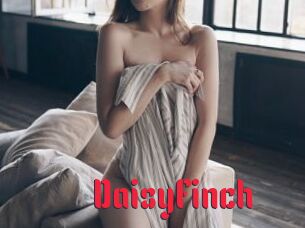 DaisyFinch
