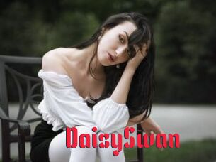 DaisySwan