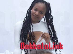 DakkotaLink