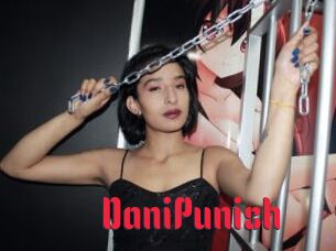 DaniPunish