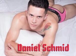 Daniel_Schmid