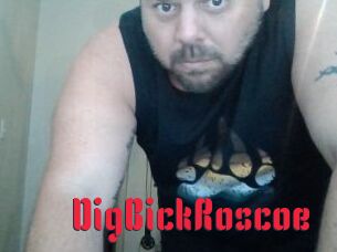 DigBickRoscoe