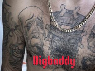 Digbaddy