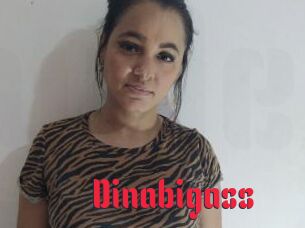 Dinabigass