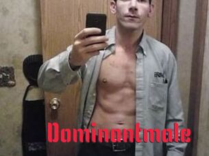 Dominantmale