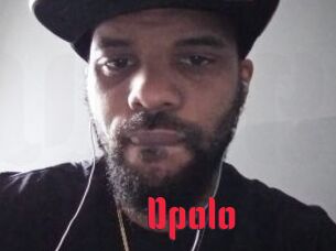 Dpolo