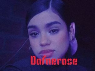 Dafnerose