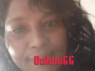 Dahlia66