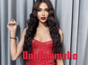 Dahliaamelia