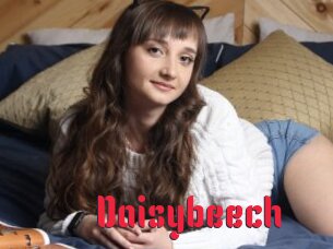 Daisybeech