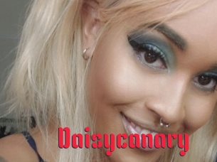 Daisycanary