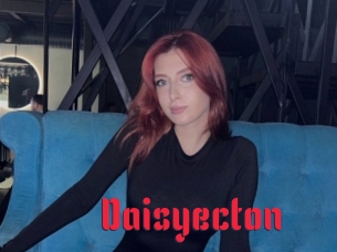 daisyecton Video Extrait