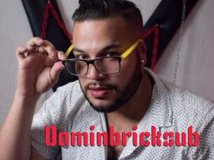 Daminbricksub