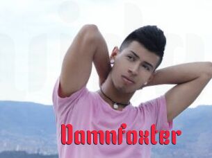 Damnfoxter