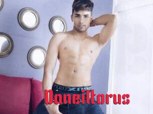 Daneil_torus